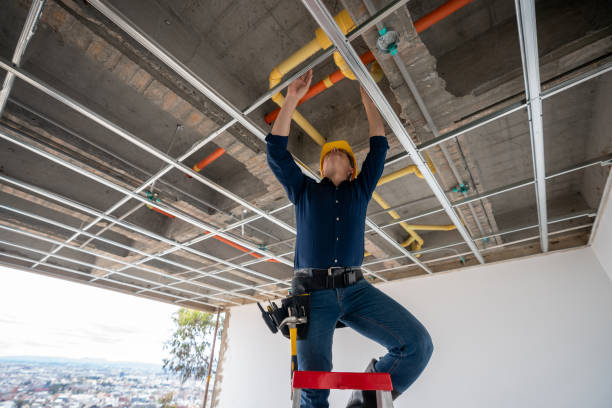 Best Emergency Plumber  in Cobb Island, MD