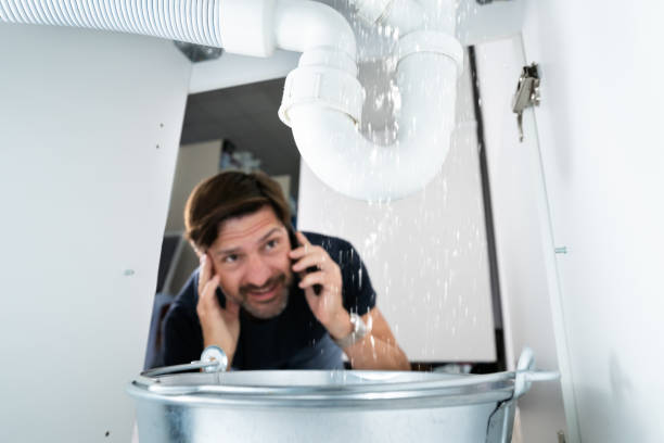 Best Commercial Plumbing Services  in Cobb Island, MD