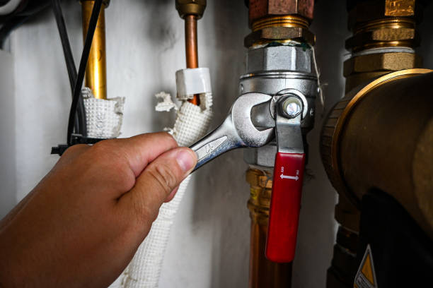 Best Emergency Plumbing Repair  in Cobb Island, MD